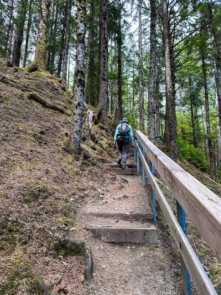 A hiker walks up a set of stairs in the forest on the East Beach Trail 