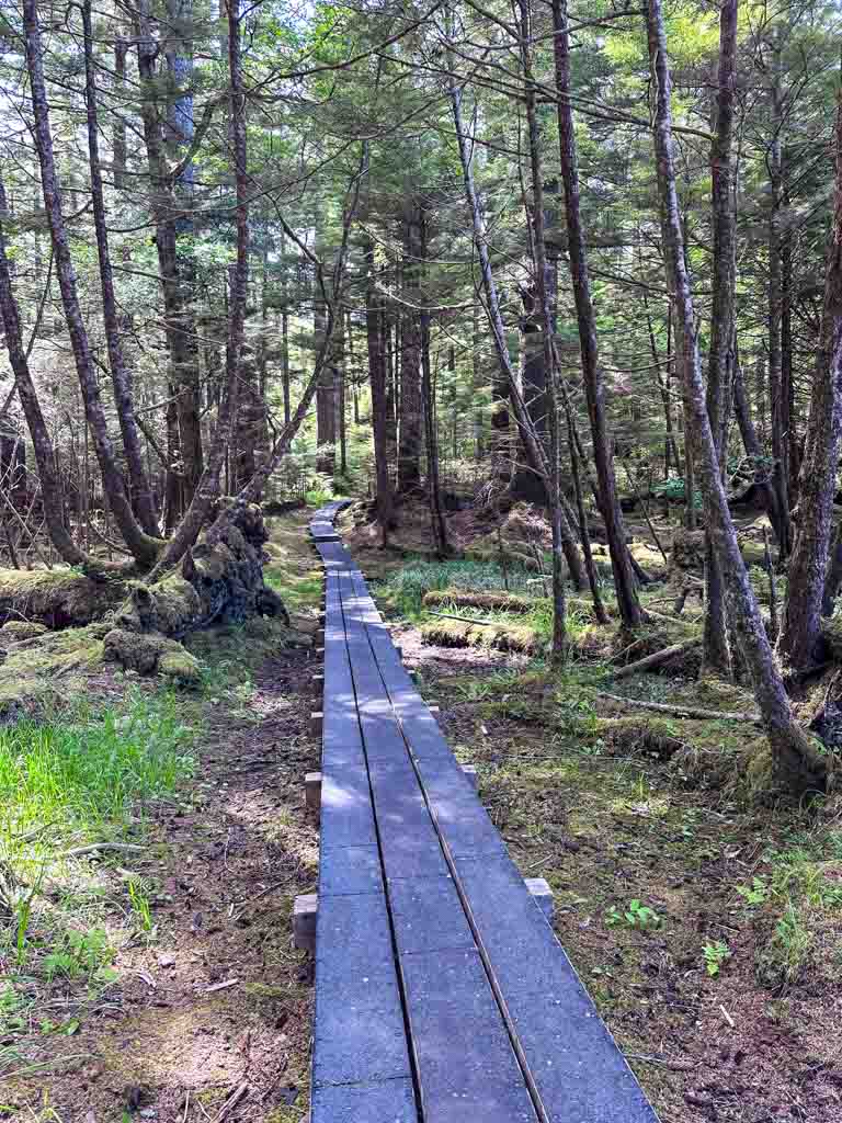 Flat boardwalk trail in Naikoon Provincial Park