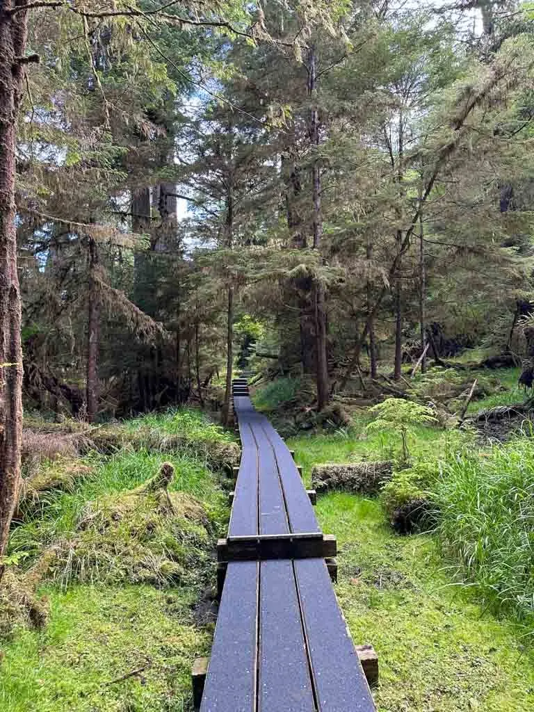 Forest boardwalk on the Tow Hill trail in Haida Gwaii