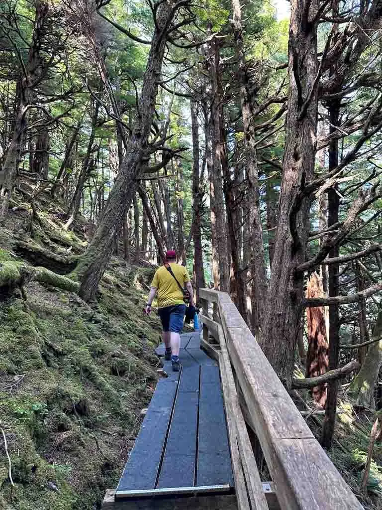 A hiker walks along a trail with stairs in the forest on the way to Tow Hill