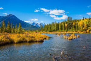 Vermillion Lakes in Banff in the fall