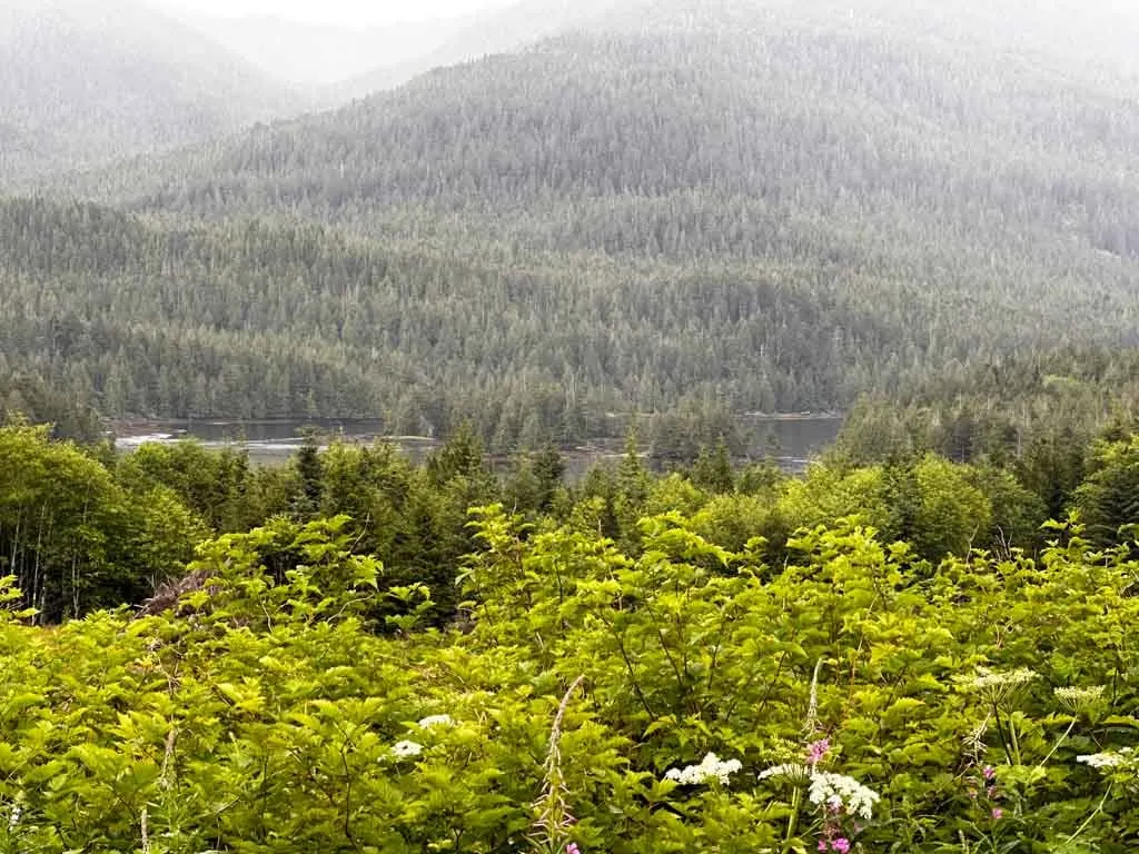 Looking down to Butze Rapids from the trailhead on a rainy day.