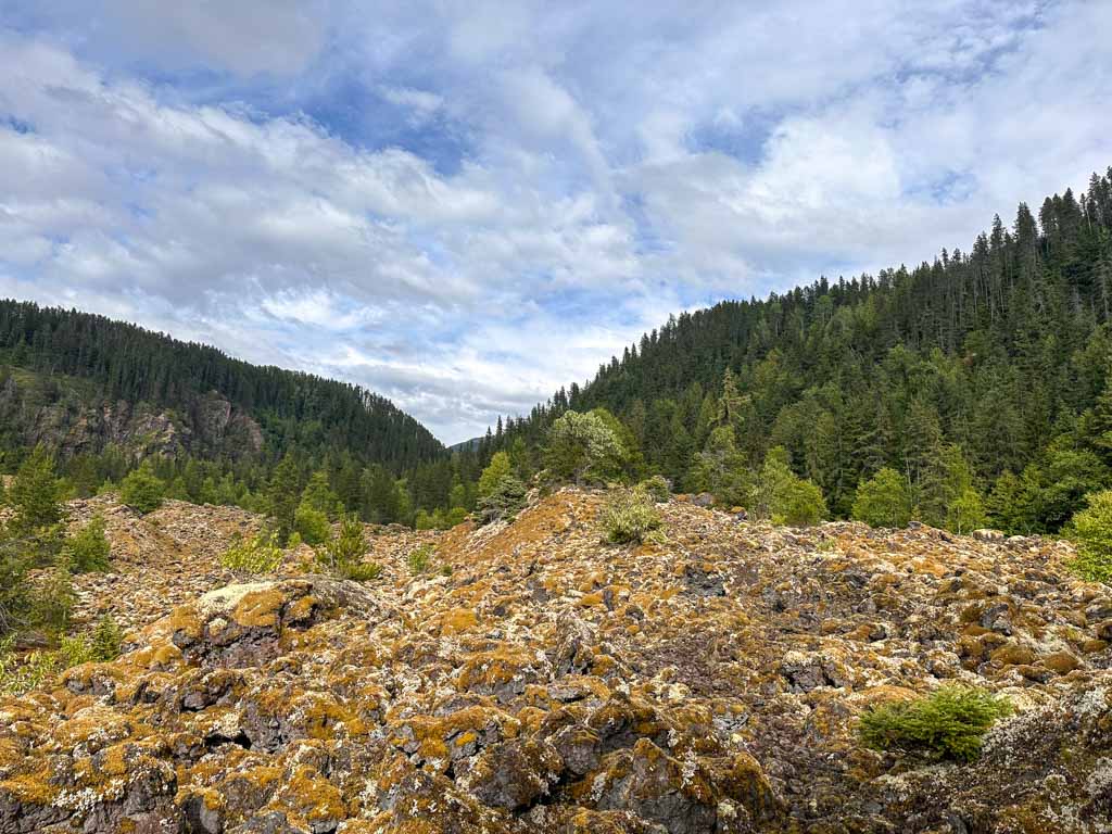 Lichen-covered lava flow at Crater Creek in the Nisga'a Valley
