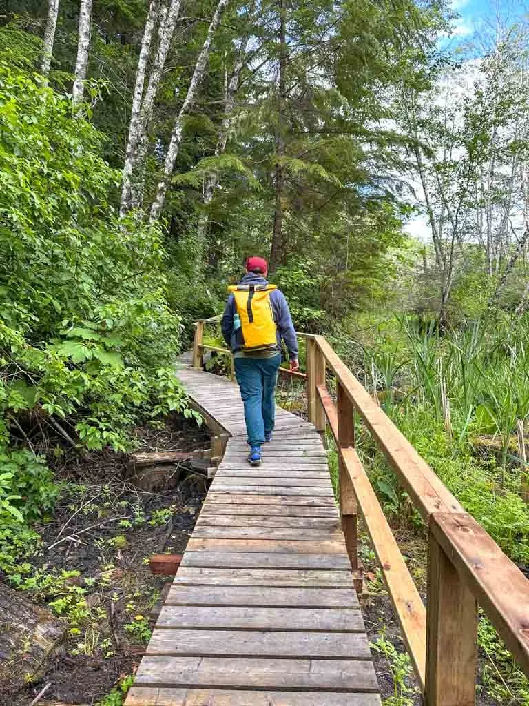 A man walks on a boardwalk through a marsh on the way to the Higu Isgwit Hot Springs