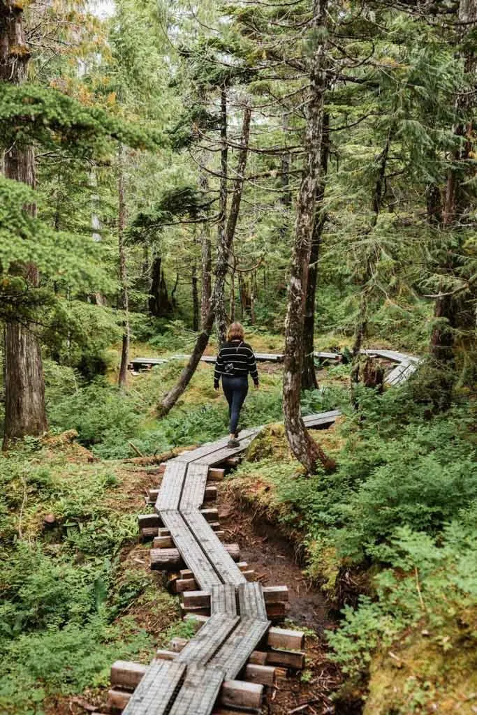 Hiking on boardwalks through the forest on the Tall Trees Trail.