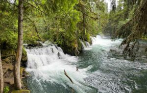 Vetter Falls in the Nass Valley