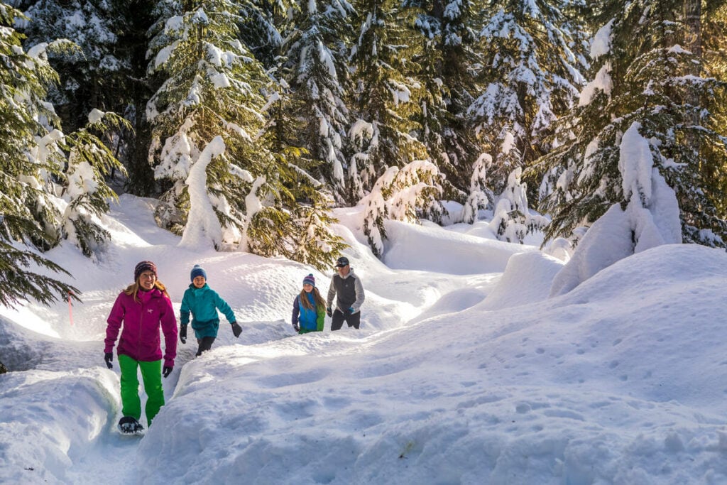 A family of four snowshoes through a snowy forest at Whistler Olympic Park