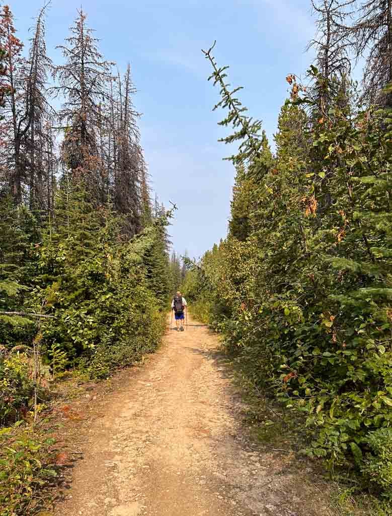 A hiker on the Signal Mountain Fire Road