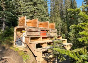 Barrel toilet on the Skyline Trail