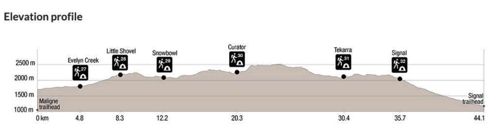 Elevation profile for the Skyline Trail in Jasper
