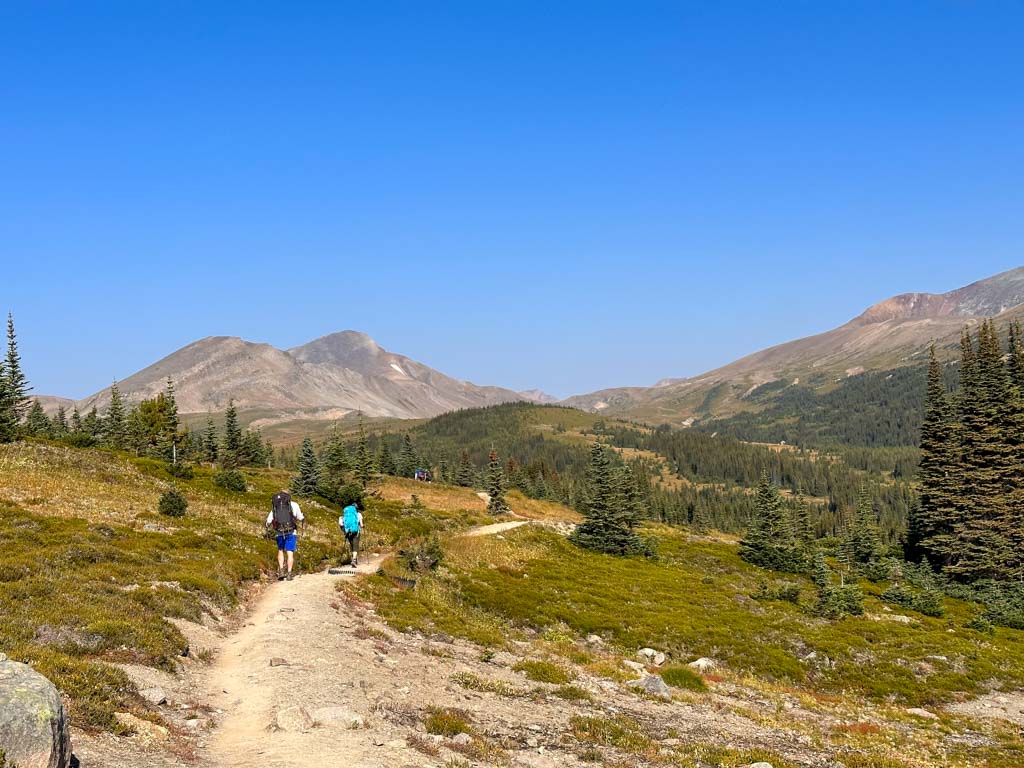 Two hikers on the trail to Big Shovel Pass on the Skyline Trail
