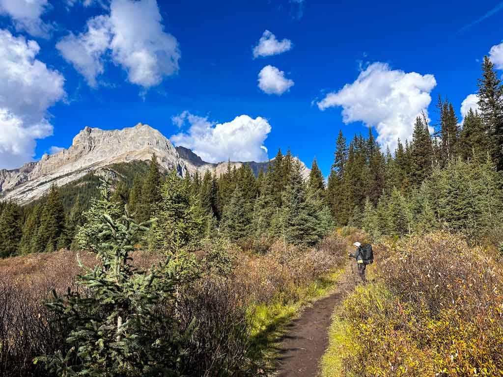 A hiker on the trail to Assiniboine Pass