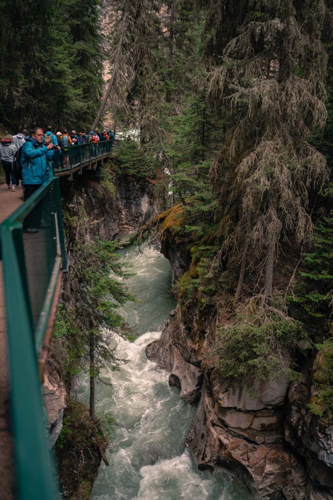 People look down from a walkway into Johnston Canyon in Banff. 