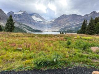 2026 MOUNT ASSINIBOINE HIKING GUIDE intelligence overview