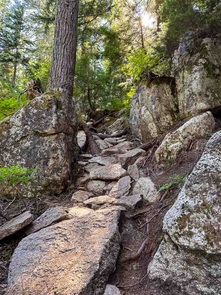 A rocky section of trail at the Sea to Sky Gondola