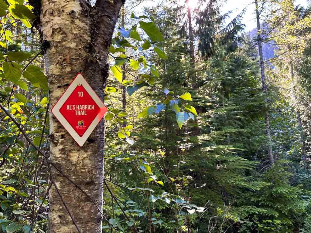 Red trail marker on the Al's Habrich Ridge Trail at the Sea to Sky Gondola
