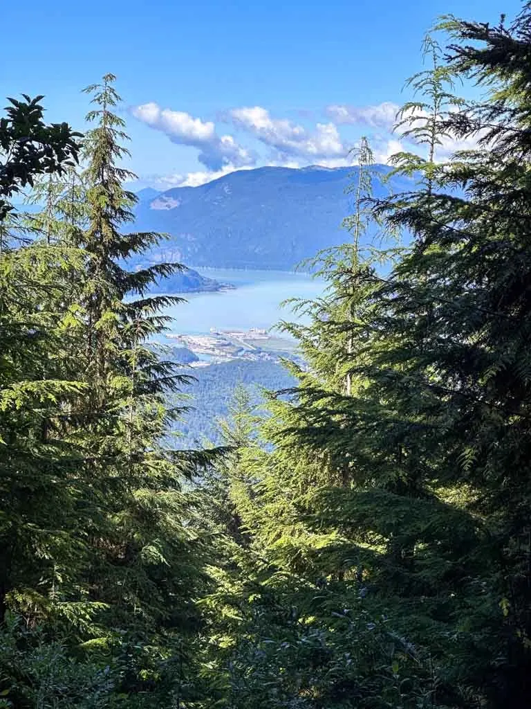 Looking down through the trees to the Squamish harbour from the Elfin Lakes Trail