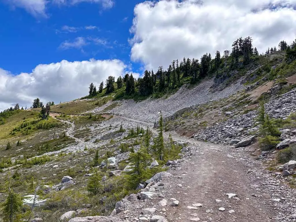 The Elfin Lakes Trail follows an old gravel road. 