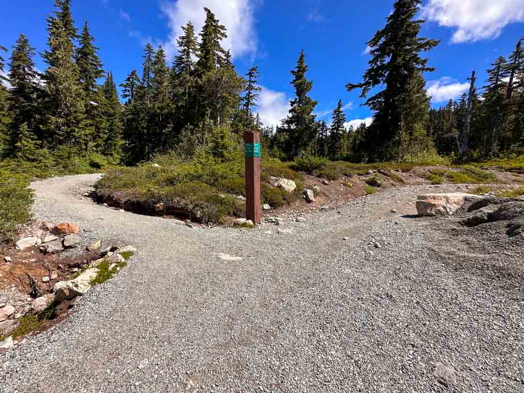 Junction of the Hikers' and Cyclists' Trails on the Elfin Lakes Hike