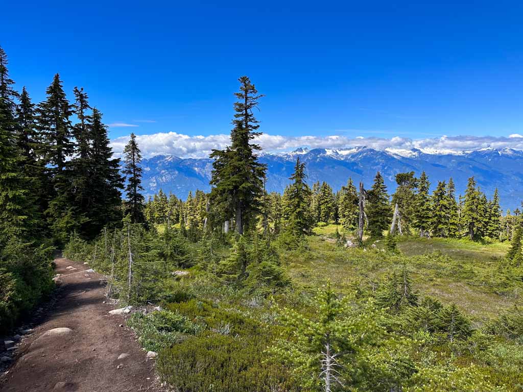 View of the Tantalus Mountains from Round Mountain in Garibaldi Provincial Park