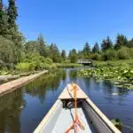 View of the River of Golden Dreams in Whistler from the front of a canoe