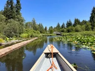 View of the River of Golden Dreams in Whistler from the front of a canoe