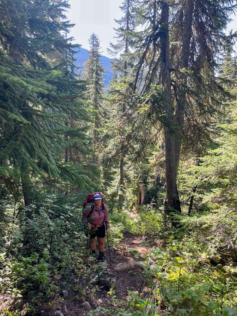 A hiker with a big backpack on a forested trail