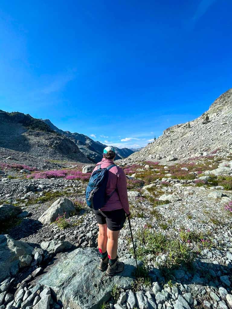A hiker stands in a rocky alpine bowl with wildflowers