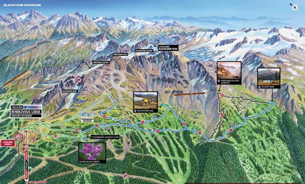 Hand-drawn map of the trails on Blackcomb Peak