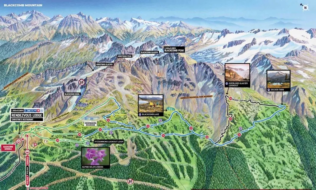 Hand-drawn map of the trails on Blackcomb Peak