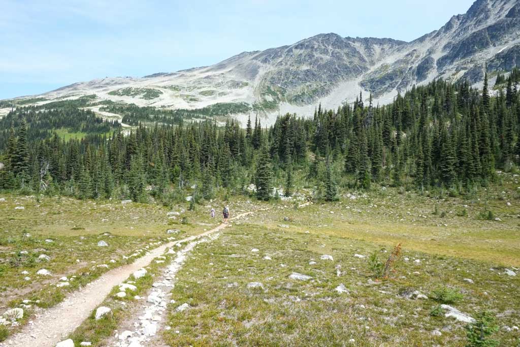 Meadows on the Blackcomb Alpine Trails
