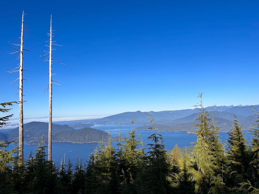 The view from Bowen Lookout on the Howe Sound Crest Trail near Vancouver. There are small cedar trees in the foreground and two very tall dead tree trunks. The view is of Howe Sound and several small islands. 