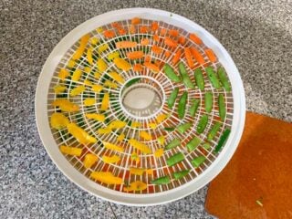 Carrots, snow peas and yellow peppers arranged on a circular dehydrator tray. Dehydrating backpacking food is easier than you think