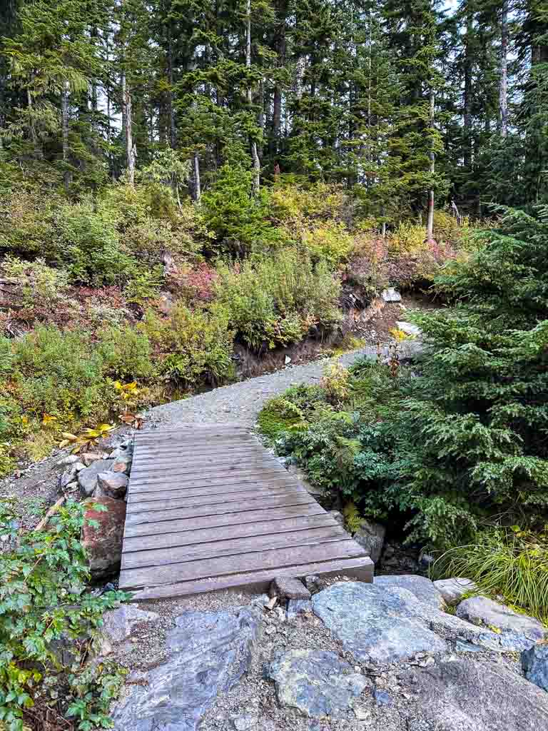 The 10 Best Hikes in Vancouver - A Local's Guide