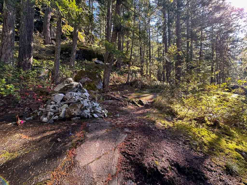 A pile of rocks marks a junction on a trail in the forest. 