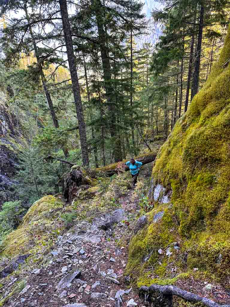 A woman walks on a steep and rocky trail next to a rock bluff covered in moss. 