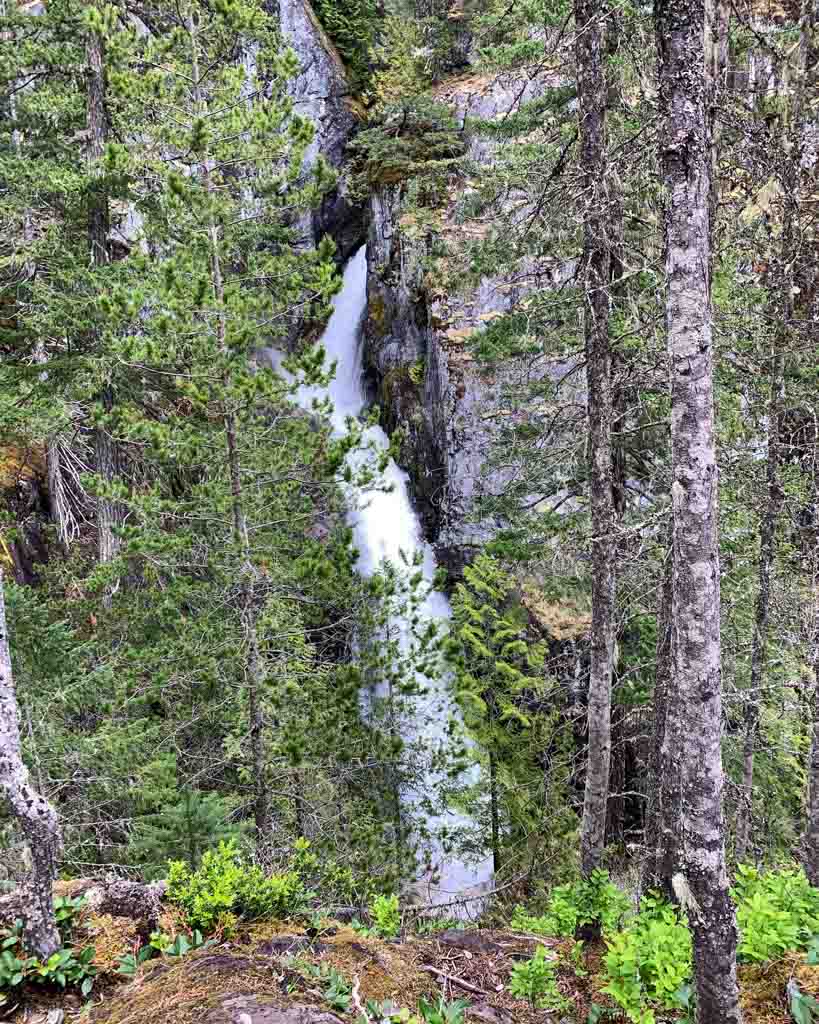 View of the waterfall at High Falls Creek through the trees