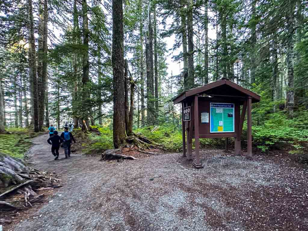 A large roofed info kiosk with a map on the Howe Sound Crest Trail on the way to St. Mark's Summit near Vancouver. The kiosk sits at the intersection of two wide gravel trails. There are tall hemlock trees all around a group of hikers walking away from the camera. 