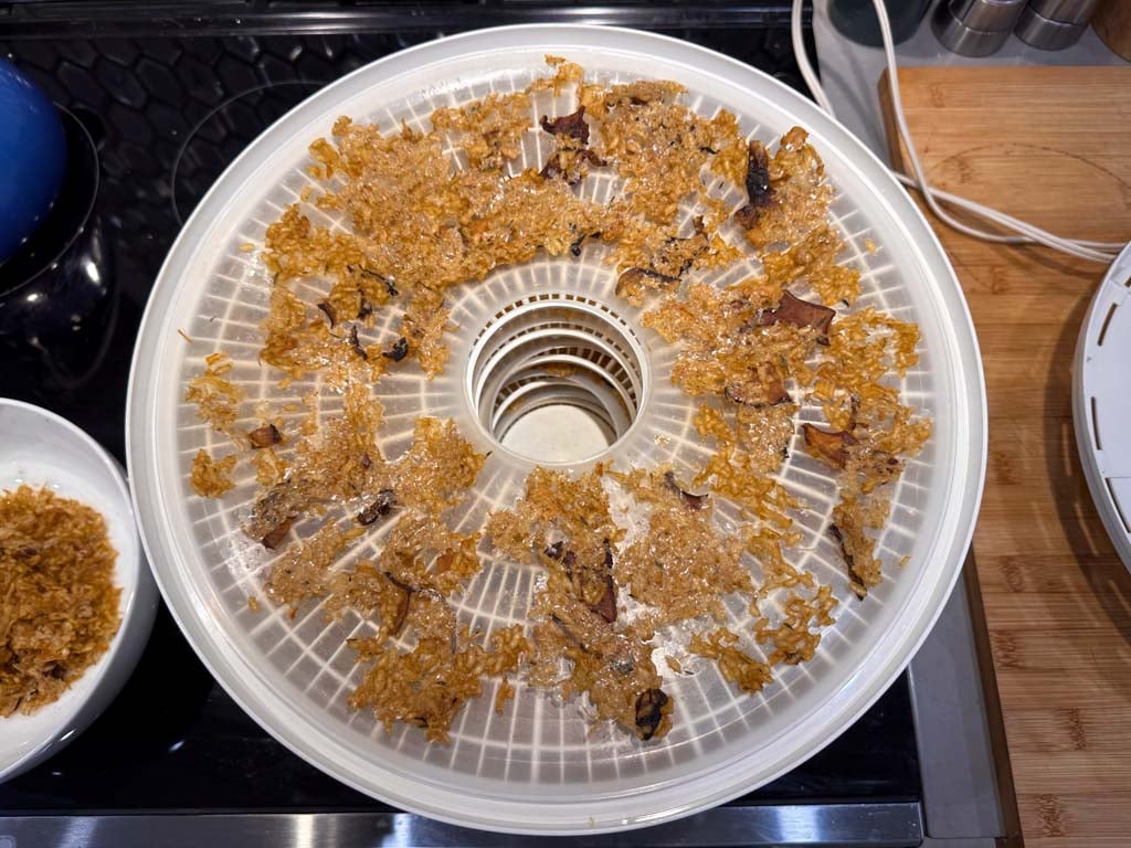 Dehydrated mushroom risotto on a dehydrator tray after it has finished dehydrating