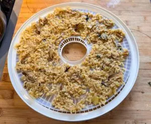 Mushroom risotto ready to be dehydrated for backpacking