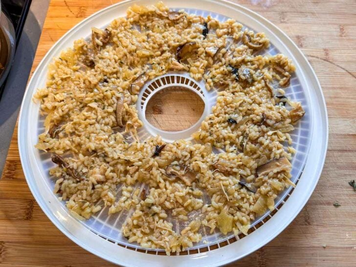 Dehydrated Mushroom Risotto For Backpacking