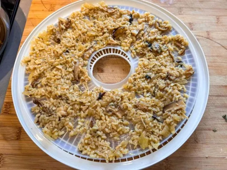 Dehydrated Mushroom Risotto For Backpacking