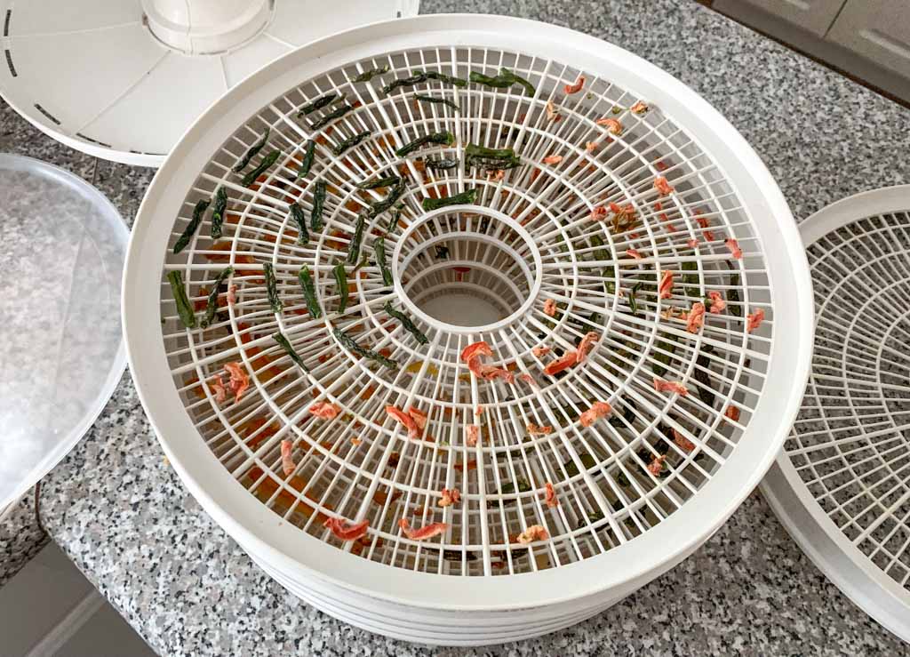 Dehydrated vegetables on a dehydrator tray. They have shrunk a lot since they were fresh. 