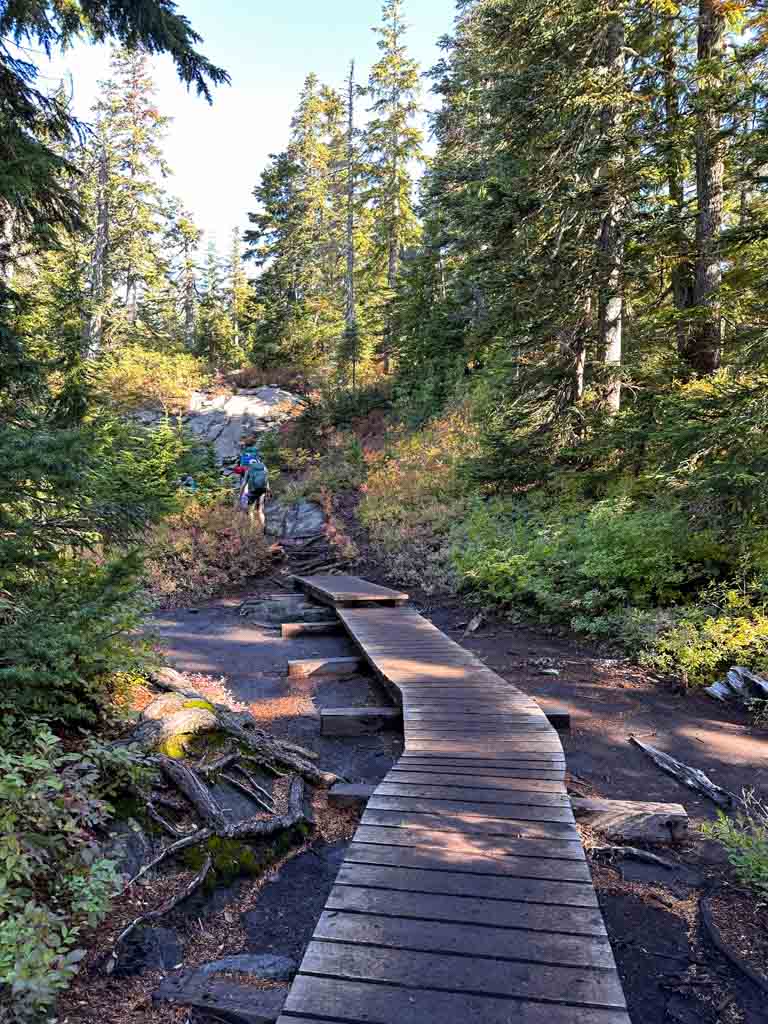 A section of boardwalk in a muddy section on the Howe Sound Crest Trail in Cypress Provincial Park near St. Mark's Summit
