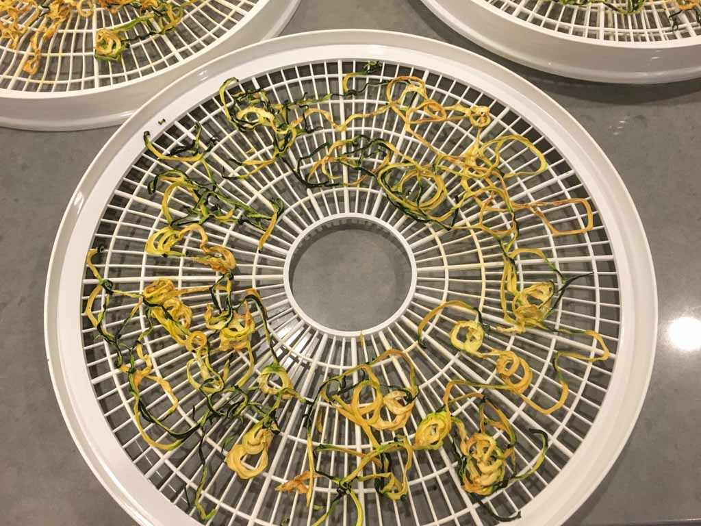 Dried zucchini noodles on a dehydrator tray. 