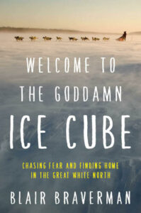 Book cover for Welcome to the Goddamn Ice Cube by Blair Braverman