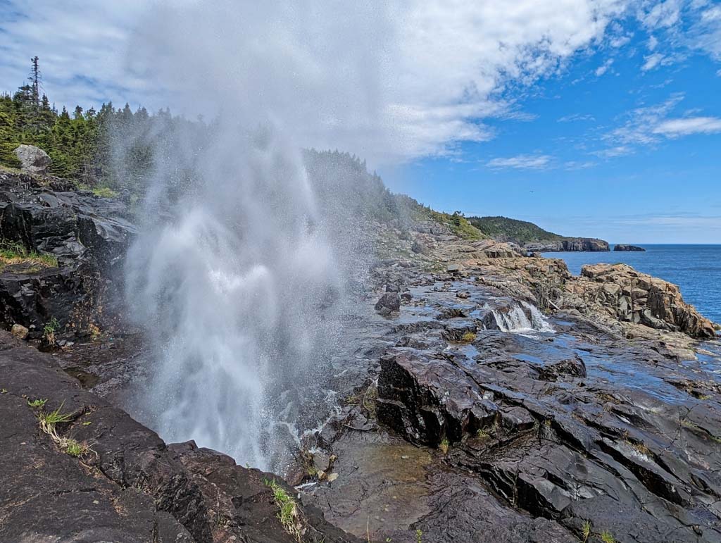 The spout geyser erupts next to the ocean on the East Coast Trail