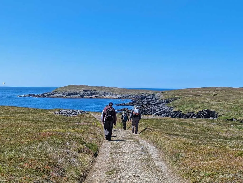 Hikes follow the trail towards the fossil sites at Mistaken Point in Newfoundland