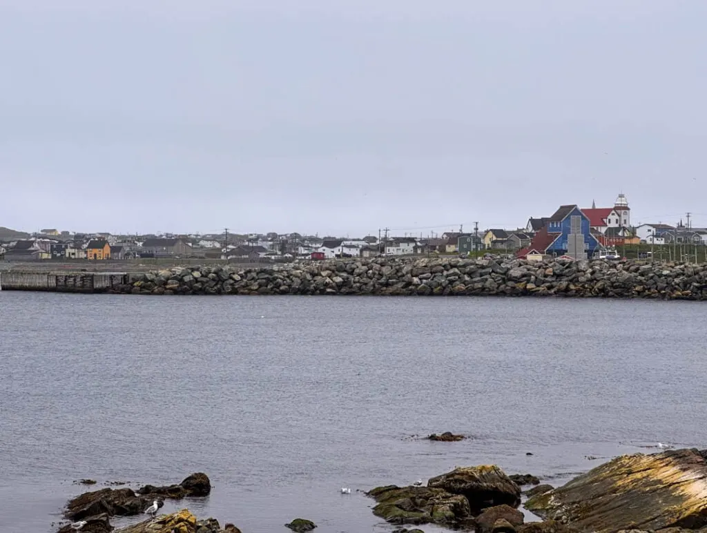 Buildings seen across Bonavista Harbour. The blue building is the Matthew Legacy