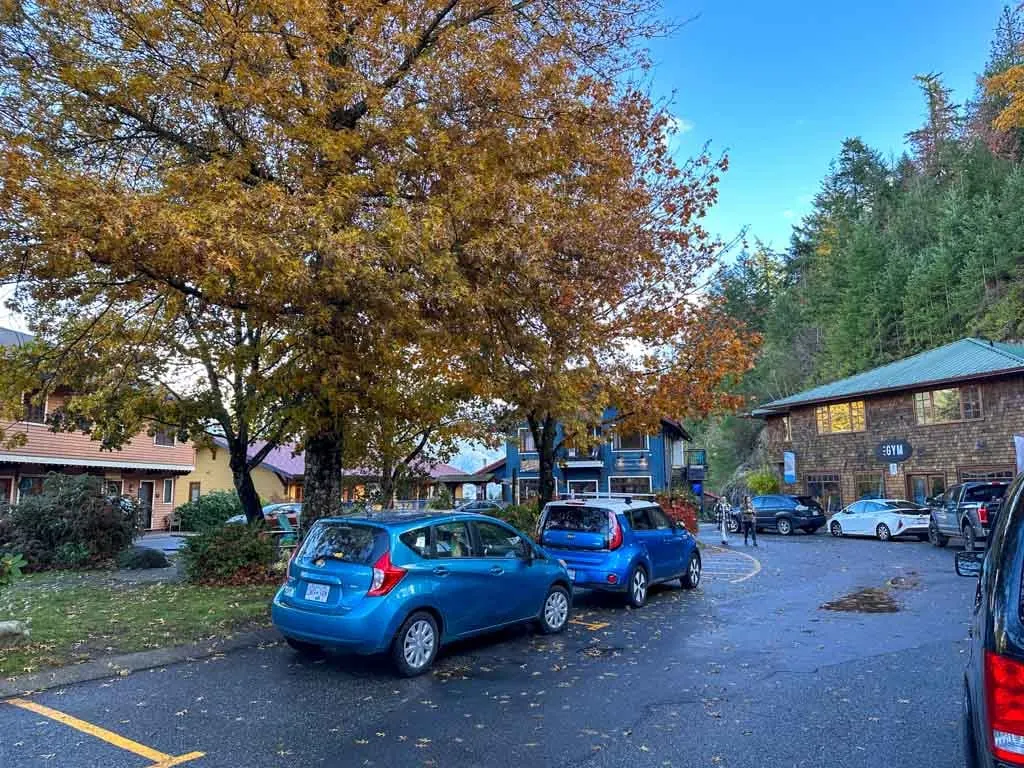 Shops clustered around a tree in Artisan Square, Bowen Island, BC